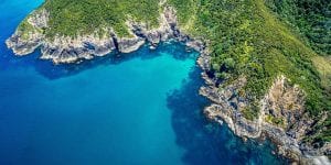 court reporter in new zealand