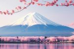 deposition services in Japan; arbitration services in Japan